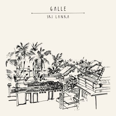 Galle palmiye ağaçları ve çatılar