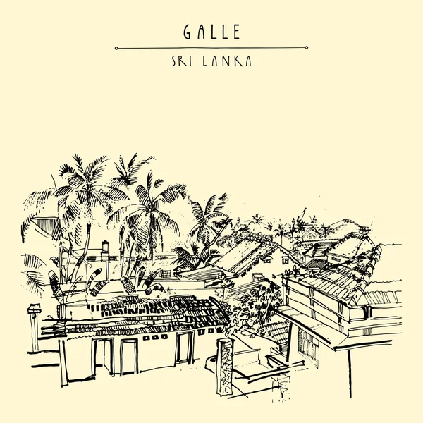 Palmové stromy a střechy v Galle — Stockový vektor
