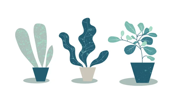 Plantas Caseras Macetas Ilustración Plana Simple Plantas Maceta Diseño Moderno — Vector de stock