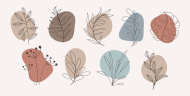 Soyut organik hikaye beyaz arkaplanda izole edilmiş kapak şablonları vurguluyor. Tarafsız toprak ton renklerinde botanik illüstrasyon. Hippi tasarım ögeleri ayarlandı