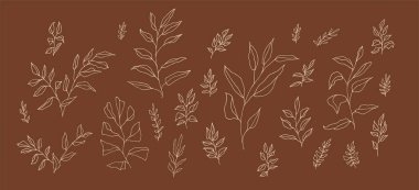 Boho estetik botanik seti doğrusal el yapımı dallar. Düğün davetiyesi tasarımı için bohem stili sanat dalları koleksiyonu. Retro stili zarif karalama bitkisi çizimi. Bitki yaprağı dekorasyonu