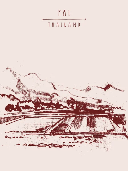 Modèle de carte postale de champ de riz — Image vectorielle