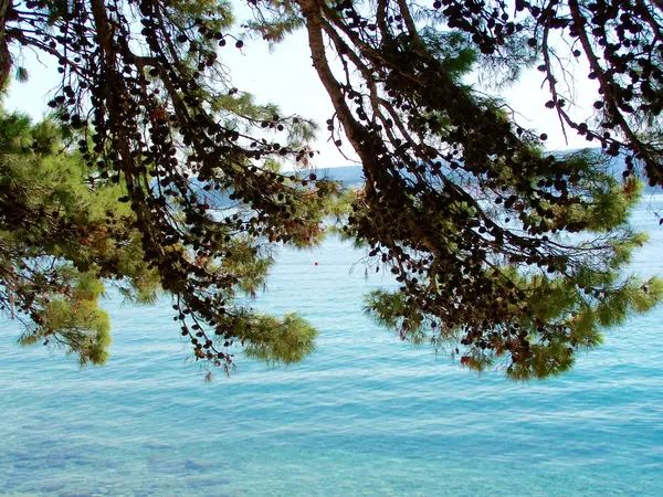 Mooie zomerse in Kroatië — Stockfoto