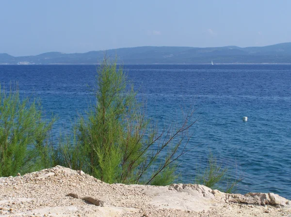 Kristal mavi deniz ile kayalık Hırvat sahil — Stok fotoğraf