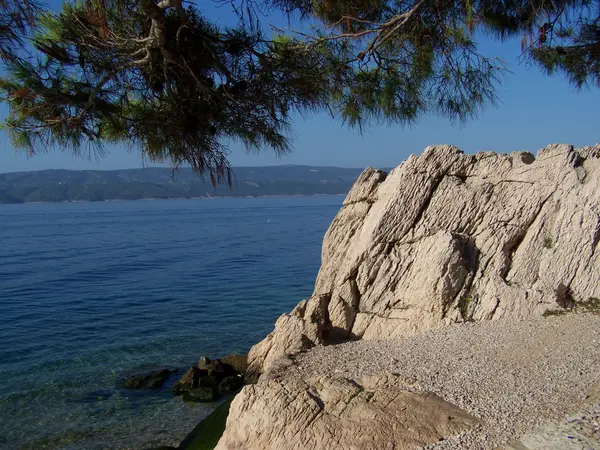 Costa rochosa croata com mar azul cristalino — Fotografia de Stock