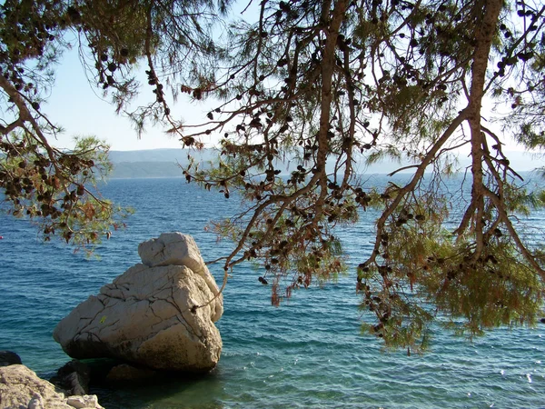 Côte croate rocheuse avec mer bleue cristalline — Photo