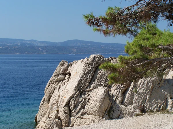 Kristal mavi deniz ile kayalık Hırvat sahil