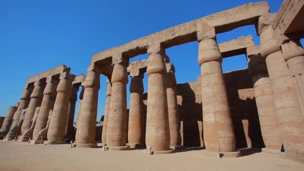 Oude ruïnes in Luxor — Stockvideo