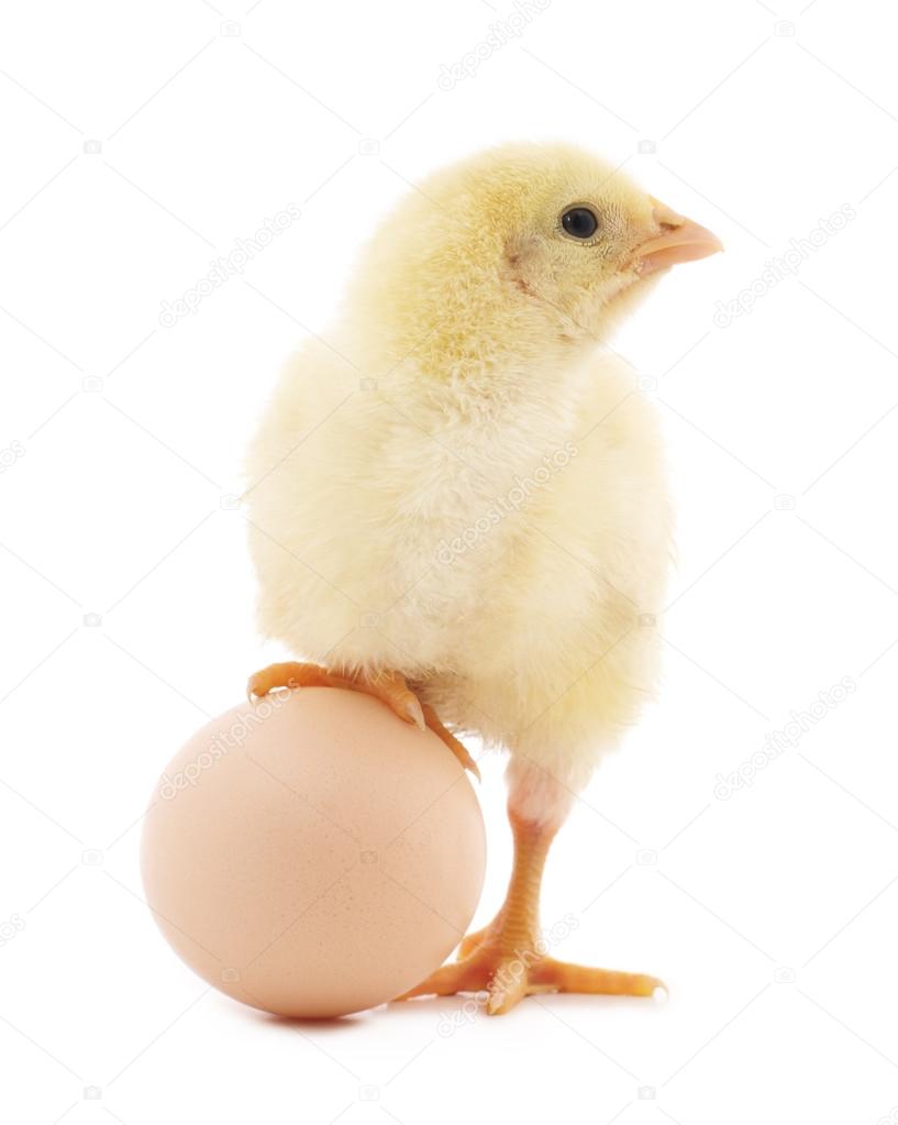 Chicken and egg.