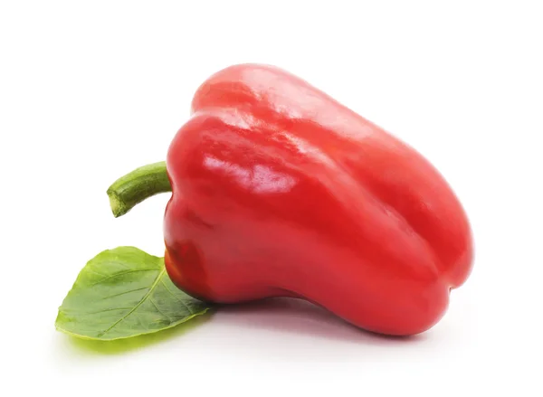 Eine rote Paprika. — Stockfoto