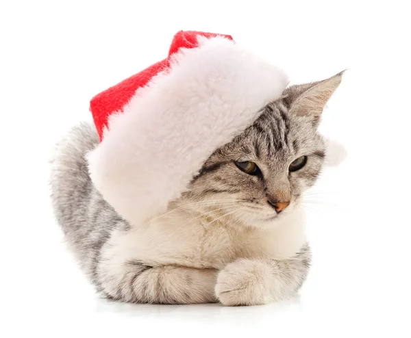 Kattunge Hatten Santa Isolerad Vit Bakgrund — Stockfoto