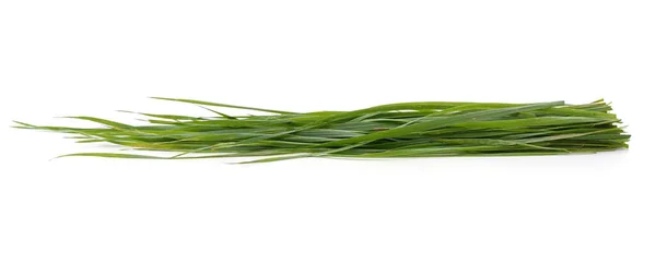 Bunch Green Grass Isolated White Background — Stock Photo, Image