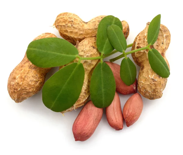 Erdnüsse Und Blätter Isoliert Auf Weißem Hintergrund — Stockfoto