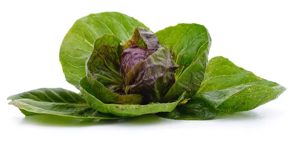 Bunch Green Lettuce Leaves Isolated White Background — Stock Photo, Image