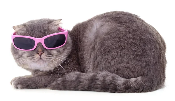 Kattunge Rosa Glasögon Isolerad Vit Bakgrund — Stockfoto