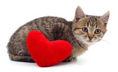 Kedi ve kırmızı kalp beyaz bir arkaplanda izole edilmiş..