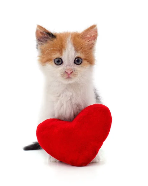 Kitten Met Speelgoed Hart Geïsoleerd Een Witte Achtergrond — Stockfoto