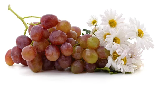 Grapes Daisies Isolated White Background — Stock Photo, Image