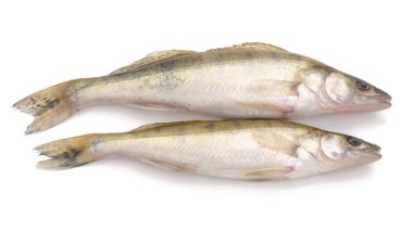 Beyaz arka planda izole edilmiş iki yeni tünek.