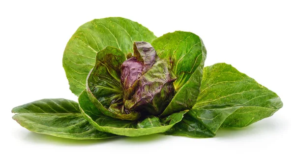 Cabbage Leaves Isolated White Background — Stock Photo, Image