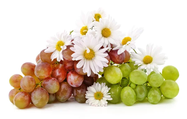 Blaue Und Grüne Trauben Mit Gänseblümchen Auf Weißem Hintergrund — Stockfoto