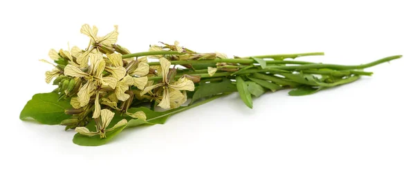 Arúgula Flores Hojas Aisladas Sobre Fondo Blanco — Foto de Stock