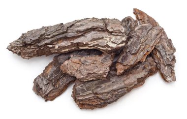 Kahverengi kabuk parçaları beyaz bir arkaplanda izole edilmiş..