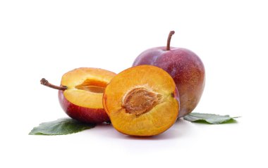 Beyaz arkaplanda izole edilmiş erik yapraklı erik grubu.