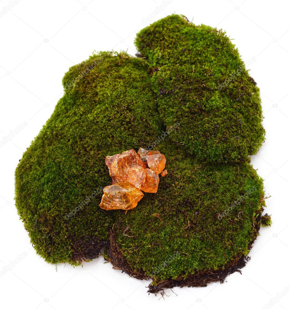 Rosin stone on green moss isolated on a white background.