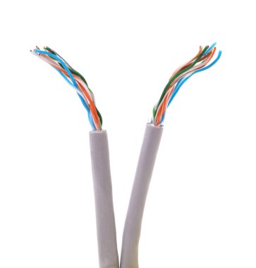 Beyaz arka planda izole edilmiş iki internet kablosu.