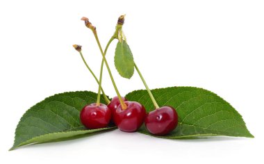 Beyaz bir arka plan üzerinde izole olgun taze kiraz.