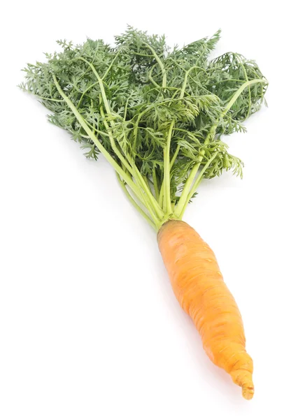 Carrot with leaves. — Stock Photo, Image