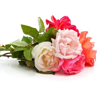 Bouquet of multicolored roses isolated on a white background.