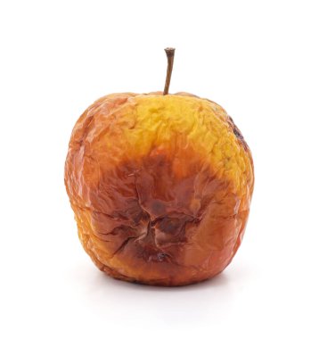 Beyaz arka planda izole edilmiş çürük ve buruşuk bir elmanın yakın çekimi. Gıda bozulması, çürüme, atıklar ve doğal yaşlanma kavramı..