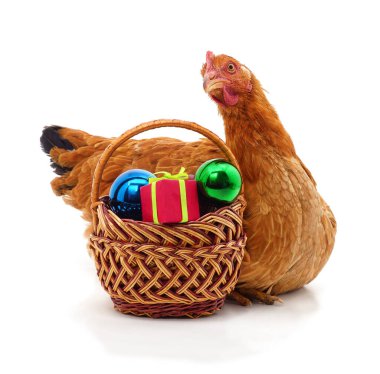 Hasır sepetin yanında duran kahverengi tavuk renkli Noel süsleri ve beyaz arka planda izole edilmiş bir hediye kutusu. Mevsimsel tasarım için bayram kompozisyonu.