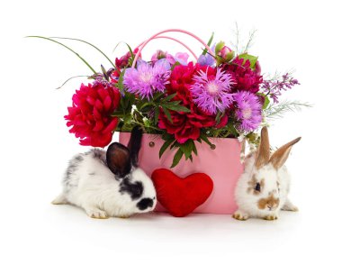 Güzel şakayıklar ve yaz çiçekleriyle dolu pembe bir hediye çantasının yanında oturan iki küçük tavşan, kırmızı bir tekstil kalbiyle süslenmiş..