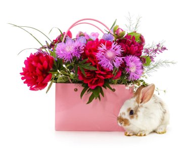 Şirin bir yavru tavşan, beyaz bir arka planda taze şakayık ve yaz çiçekleriyle dolu parlak pembe bir hediye çantasının yanında oturur..