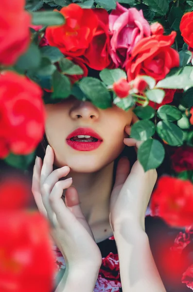 Queen rose, rose, many roses shrub roses, elegant roses, red roses, flower of love, queen of flowers, girl, young girl, beautiful girl, brunette, model, Ukrainian, luscious lips, hands, may, garden, nature, woman, teenager, wallpaper, pink for a girl — Stock Photo, Image