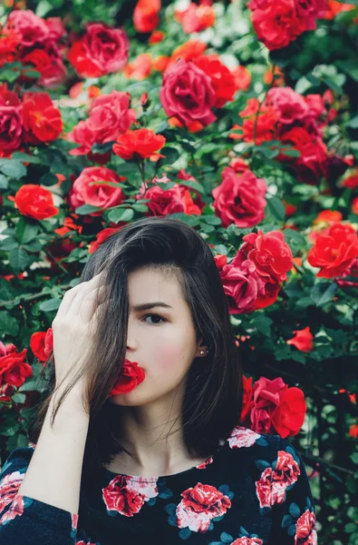 皇后玫瑰，玫瑰，很多玫瑰灌木玫瑰，优雅的玫瑰，红玫瑰，爱情之花、 女王的花，女孩，年轻女孩，漂亮的女孩、 黑发、 模型、 乌克兰性感嘴唇、 眼睛，手，可能，花园，自然、 女人、 青少年、 壁纸，粉红色为 — 图库照片