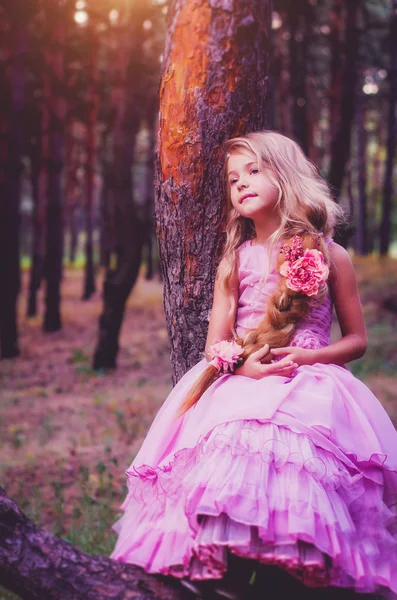 Pequeño Rapunzel, trenza larga — Foto de Stock