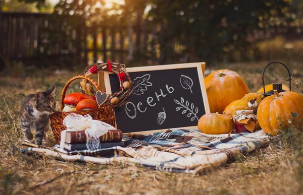 Sonbahar dekorasyonu açık havada ve