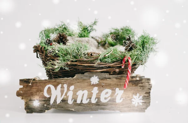 Inverno, segno inverno, iscrizione sull'albero, cesto, studio, caramelle natalizie, decorazione invernale — Foto Stock