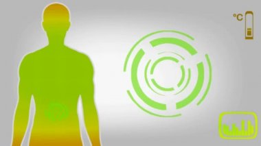 Böbrekler - sarı 01