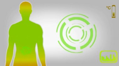 Böbrekler - sarı 02