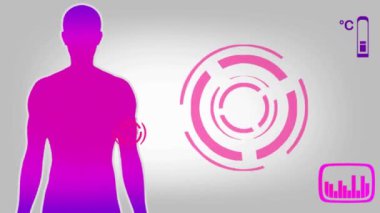 Pazı kemiği - mor 02