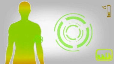 Pazı kemiği - sarı 01