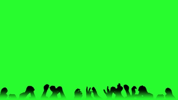 Folle - applausi delle mani - Chearing - Green Screen 01 — Video Stock