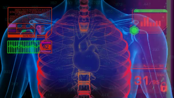 Akciğerler analiz - grafik - kırmızı — Stok video