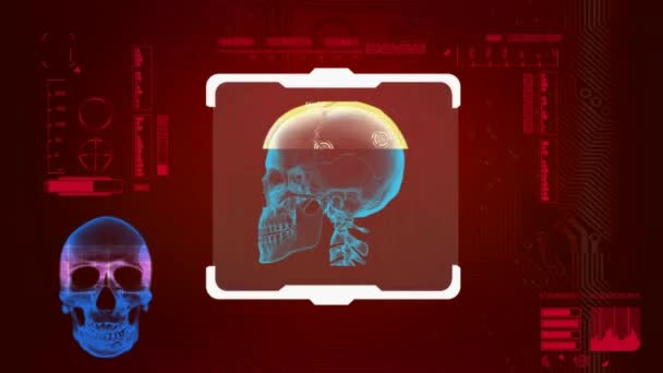 두개골 Scanned-디지털 인터페이스-레드 — 비디오