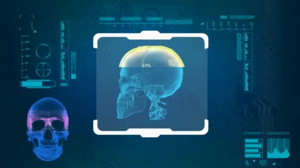 Skull Scanned - Digital Interface - Blue — Stock Video